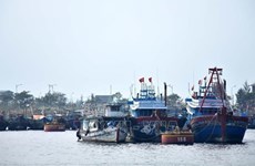 Дананг, Куангбинь усиливают меры по борьбе с ННН-промыслом