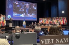 Вьетнам принимает участие в конференции, посвященной пятилетнему выполнению Конвенции о запрещении химического оружия