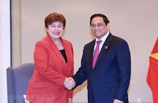 Премьер-министр Фам Минь Тьинь принял Генерального директора МВФ, Генерального секретаря ОЭСР