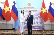 Министр иностранных дел Вьетнама провел переговоры с заместителем премьер-министра и министром иностранных и европейских дел Словении