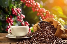 Предприятия и фермеры еще не получили выгоду от недавнего повышения цен на кофе