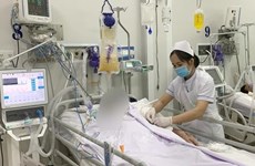 Шесть флаконов гептавалентного антитоксина против ботулизма, при экстренной помощи ВОЗ, прибыли во Вьетнам