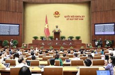 Национальное Собрание обсуждает социально-экономическое развитие
