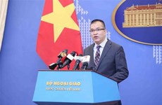 Официальный представитель МИД: Вьетнам внимательно следит за развитием событий в Восточном море