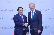 Эксперт впечатлен достижениями стратегического партнерства между Вьетнамом - Австралией