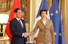 Вьетнам и Франция надеются вывести двустороннее сотрудничество на новый уровень
