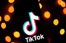 Мининформсвязи: Основания для подтверждения нарушения со стороны TikTok есть
