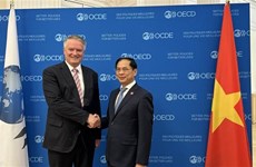 ОЭСР продолжит сопровождать Вьетнам в развитии «зеленой» экономики