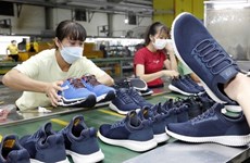 Экспорт одежды и обуви к 2025 году должен достичь 80 млрд. долл. США