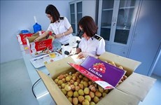 Центр облучения откроется на севере страны для обслуживания экспорта фруктов