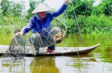 Преобразование аквакультуры, адаптация к изменению климата в городе Камау