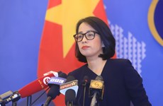Вьетнам решительно против, требует Тайваня (Китай) отменить незаконную деятельность в Бабине
