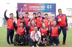 Пара Игры АСЕАН 12: Вьетнам завоевал 58 золотых медалей