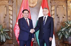 Заместитель председателя Национального собрания М.Марай: Отношения Венгрии и Вьетнама будут развиваться и улучшаться