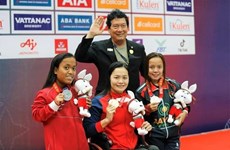 Гордость Вьетнама на 12-х Паралимпийских играх АСЕАН
