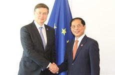 Министр иностранных дел Вьетнама встретился в Париже с представителями Бразилии, Франции, ЕС и Канады