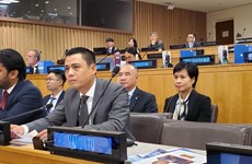 Посол: Вьетнам обеспокоен последними событиями в Восточном море