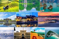 Количество поисков о туризме во Вьетнаме увеличилось, занимая 7-е место в мире