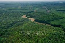 Опубликовано состояние национального леса в 2022 году