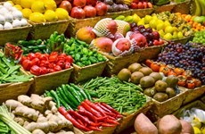 Увеличение экспорта фруктов и овощей- Создание стимула для экспорта сельскохозяйственной продукции