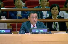 Посол Данг Хоанг Жанг: Соглашение по открытому морю — новая веха в развитии международного права