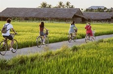 Вьетнаму нужны новые правила для развития агротуристической недвижимости