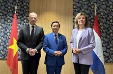 Заместитель премьер-министра Чан Хонг Ха находится с рабочим визитом в Нидерландах