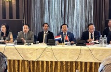 Вьетнам, Нидерланды укрепляют сотрудничество в области адаптации к изменению климата, управления водными ресурсами