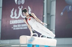 Международная федерация гимнастики поможет вьетнамским гимнасткам достичь новых высот