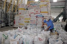 Премьер-министр просит стимулировать производство и экспорт риса