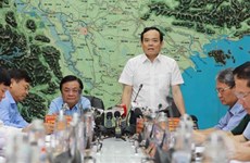 27 провинций и городов от севера до провинции Нгеан активно реагируют на тайфун № 1