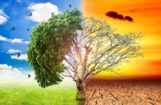 Семинар по снижению воздействия изменения климата на зеленый рост и устойчивое развитие в регионе
