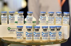 Вьетнамские компании готовы экспортировать вакцины от африканской чумы свиней