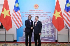 Содействие стратегическому партнерству Вьетнама и Малайзии
