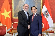 Министр иностранных дел Буй Тхань Шон имел встречу с министром иностранных дел Австрии