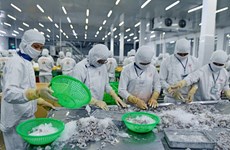 Вьетнам является вторым по величине поставщиком креветок в мире