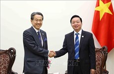 Вьетнам и Япония расширяют сотрудничество в области энергетического перехода
