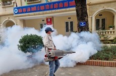 Ханой: Людям нужно быть осторожными к лихорадке денге
