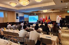 Вьетнамский саммит в Японии 2023 года состоится в октябре