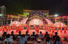 В Биньдинь открывается Международный фестиваль вьетнамских традиционных боевых искусств