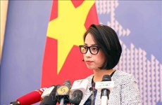 Очередная пресс-конференция МИД: просьба к Китаю уважать суверенитет Вьетнама над Хоангша