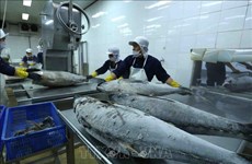 Экономические колебания влияют на экспорт тунца