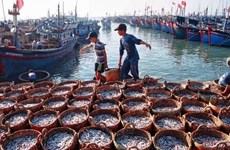 Провинция Тьенжанг хорошо выполняет рекомендации ЕС по борьбе с ННН-промыслом