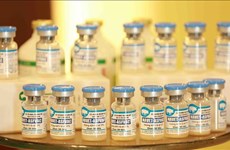 Вьетнамская вакцина против африканской чумы свиней показала эффективность на Филиппинах