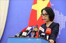 Очередная пресс-конференция МИД: Вьетнам отправит представителя на саммит БРИКС