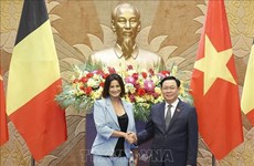 Председатель НС Выонг Динь Хюэ ведет переговоры с председателем Сената Бельгии Стефани Д'Оз