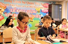 Усилия по развитию вьетнамского языка во вьетнамских общинах за рубежом