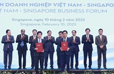 Вьетнам и Сингапур вместе обсудят повестку дня на будущее