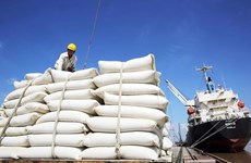 Цены на экспортируемый Вьетнамом рис самые высокие в мире