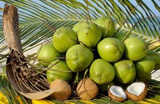 Экспорт кокосов и цель в 1 миллиард долларов США в 2025 году